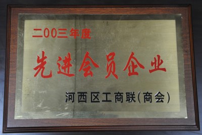 2003年度先進(jìn)會員企業(yè)獎牌