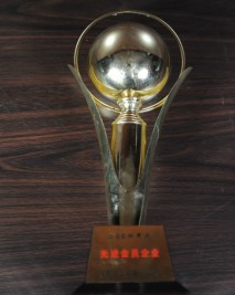 2004年度先進(jìn)會員企業(yè)獎杯